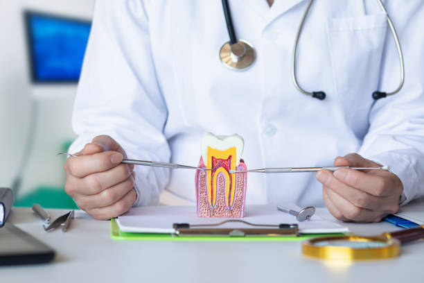 Best Emergency Dental Care for Abscessed Tooth in Norman, OK